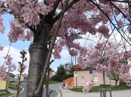 Apartmány na Vršku，位于比尔森的酒店