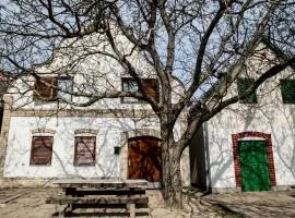 Berger Pince-vendégház, Hajósi pincék