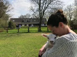 Het geheim van Merselo