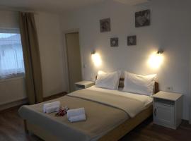 Top Style Villa，位于Bragadiru的酒店