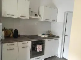 Hajni apartman