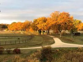 haras du Vignault Le Bûcher