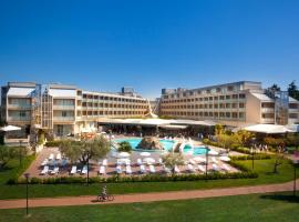 Aminess Vival Maestral Hotel，位于诺维格勒伊斯特拉的酒店