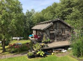 Cabin in the Green - near Amsterdam，位于费尔森-需德的度假短租房