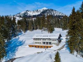 Spitzing Lodge Ferienwohnungen - Wanderparadies in den Bergen，位于史毕辛吉的木屋