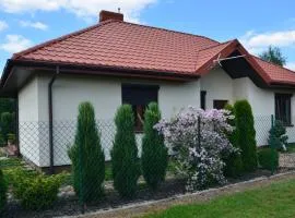 Adamówka nad Zalewem Sulejowskim