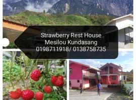 Strawberry Rest House Mesilou Kundasang，位于昆达桑的民宿