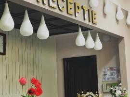 Hotel Belvedere，位于博托沙尼的酒店