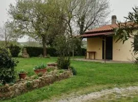 Agriturismo cavallin del papa