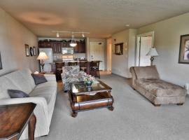 Unit 312 1 Bd 1 Ba Condo Condo，位于Birchwood的酒店