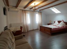 Casa Dorgo，位于Lipova的酒店