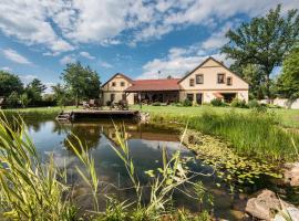 Penzion U Lišky，位于Jarošov nad Nežárkou的酒店