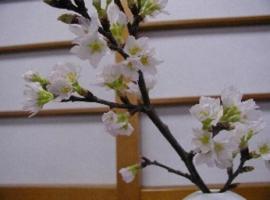 Wakaba Ryokan / Vacation STAY 29366，位于酒田市庄内机场 - SYO附近的酒店