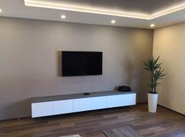 Bonito apartment，位于波斯托伊纳的酒店