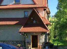 Noclegi Bukowina Centrum