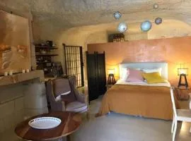 Troglodytes "Loire Sauvage"