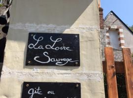 Troglodytes "Loire Sauvage" (SPA)，位于罗什科尔邦的住宿加早餐旅馆