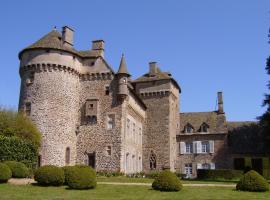 Château de La Vigne，位于Ally的低价酒店