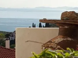 Unique breathtaking seaview house