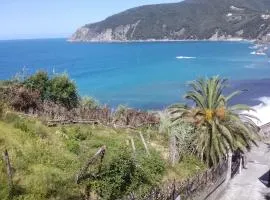 Un gioiello con vista mare
