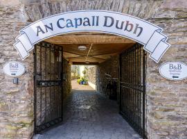 An Capall Dubh B&B Dingle，位于丁格尔的家庭/亲子酒店