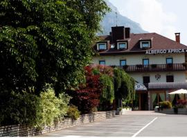 Albergo Aprica，位于达尔福的酒店