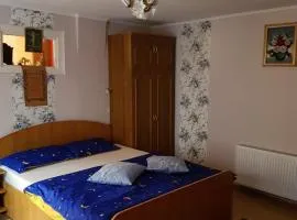 Casa de oaspeti Morii 22