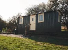 Avon Riverside Glamping