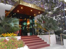 Hotel Giardinetto，位于代森扎诺-德尔加达的酒店