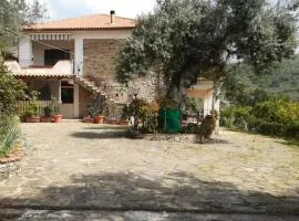 IL CONTE DI MARRAONE