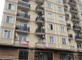 Tamo Apartment