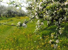 EKOTURYSTYKA W RAJU，位于Sarnaki的酒店