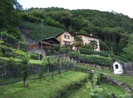 Casa immersa nel vigneto，位于Roveredo的酒店
