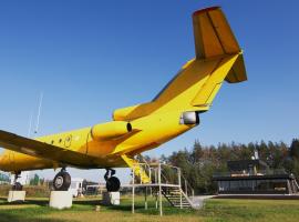 Yellow Plane，位于Yurov的度假短租房