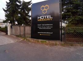 Hotel Miodowy，位于杰尔若纽夫的酒店