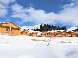 Disharo Yayla Evleri，位于Savsat的酒店
