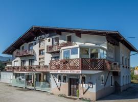 Gasthof Steiner Ellinger，位于金德贝格的酒店