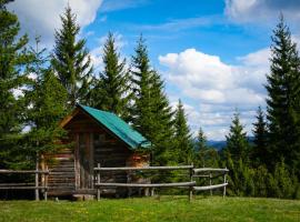 Eco Camp Drno Brdo，位于Kosanica的酒店