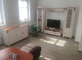 zentral gelegene top ausgestattete Wohnung