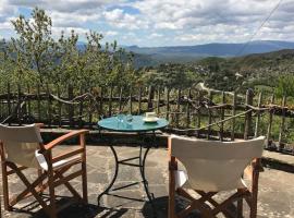 Chariklia Traditional House，位于帕皮康的木屋