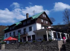 Hotel Orlice，位于德尔内夫奥里克的酒店