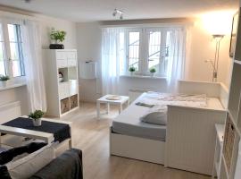 Ferienwohnung Erlinsbach SO，位于尼德尔林斯巴赫的酒店