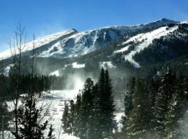 Breckenridge Luxury Ski-In, Ski-Out Condos，位于布雷肯里奇的酒店