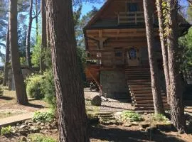 Domek z bali Tryszczyn nad Brdą