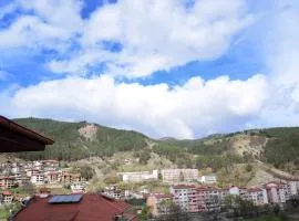 СТАИ ЗА ГОСТИ МЗ-ДЕВИН