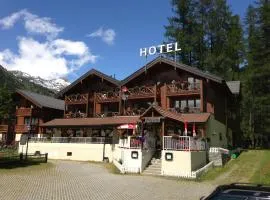 阿尔卑斯霍夫酒店