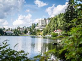 Panorama Hotel Turracher Höhe，位于图拉彻霍赫太阳缆车附近的酒店