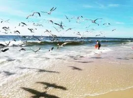 Praia da Torreira à Vista