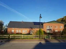 Biolandhof Dorn Highlander vom Elbdeich