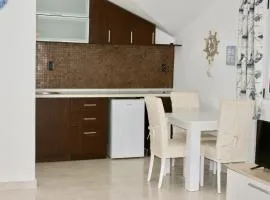 Studio apartments Morinj